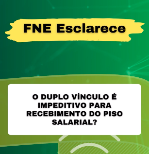 FNE Esclarece