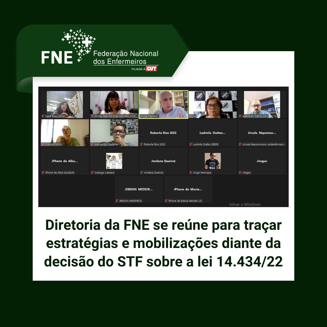 Diretoria da FNE se reúne para traçar estratégias e mobilizações diante da decisão do STF sobre a lei 14.434/22