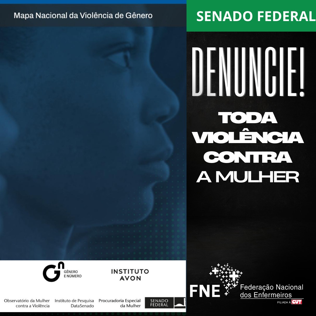 FNE participa de audiência pública do Senado para discutir 10ª edição da Pesquisa Nacional da Violência contra a Mulher e o lançamento da Pesquisa Estadual de Violência contra a Mulher