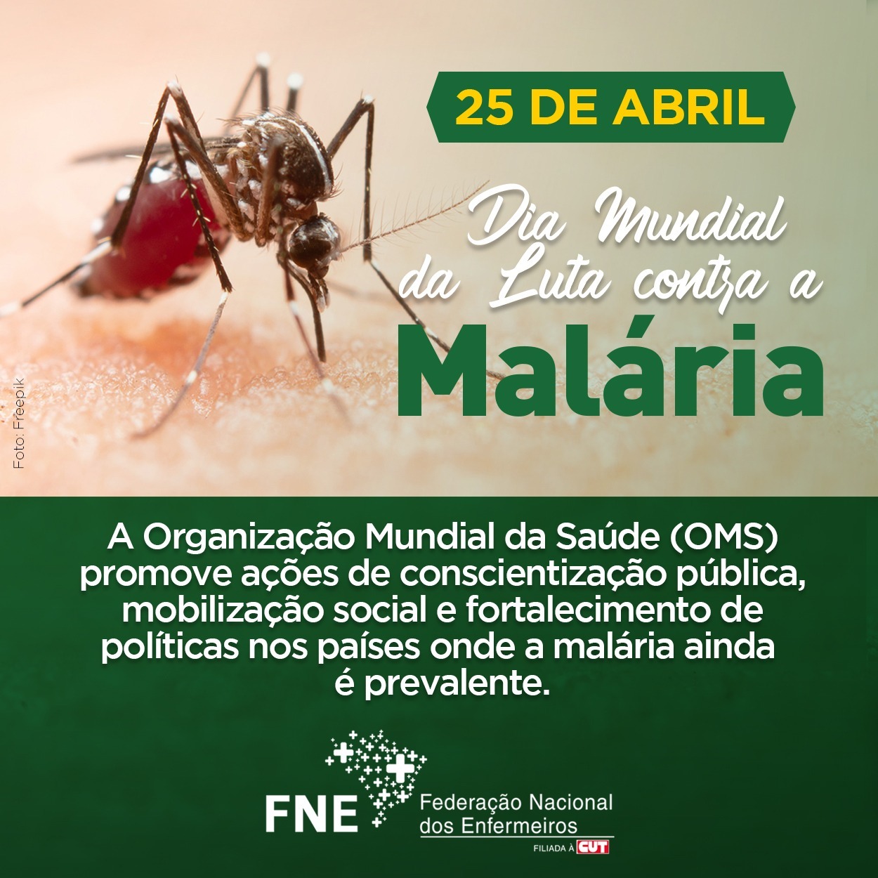 25 de abril - Dia Mundial da Luta Contra a Malária