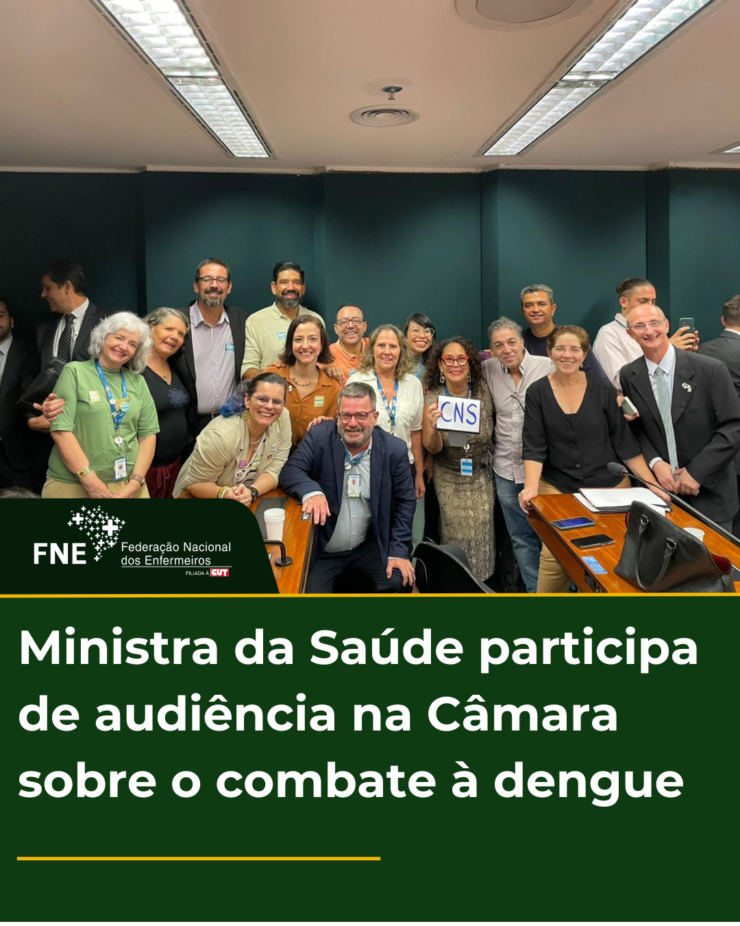 FNE participa de Audiência com Ministra da Saúde na Câmara dos deputados sobre o combate à dengue
