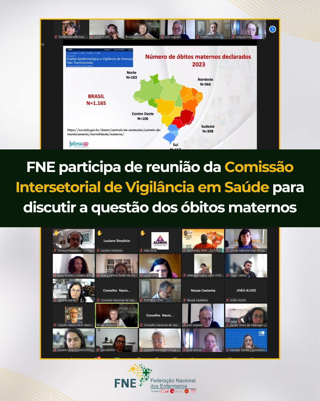 FNE participa de reunião da Comissão Intersetorial de Vigilância em Saúde para discutir a questão dos óbitos maternos