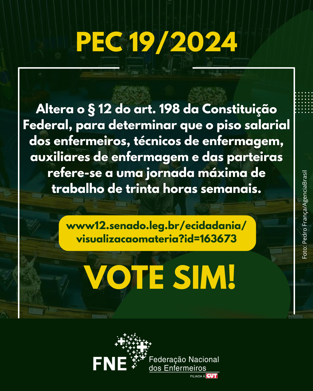 FNE divulga consulta pública e pede voto SIM para a PEC 19/24