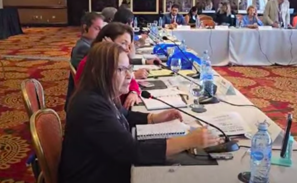 Presidenta da FNE destaca desafios e avanços da enfermagem no Brasil durante Reunião Anual da União Global de Enfermeiros