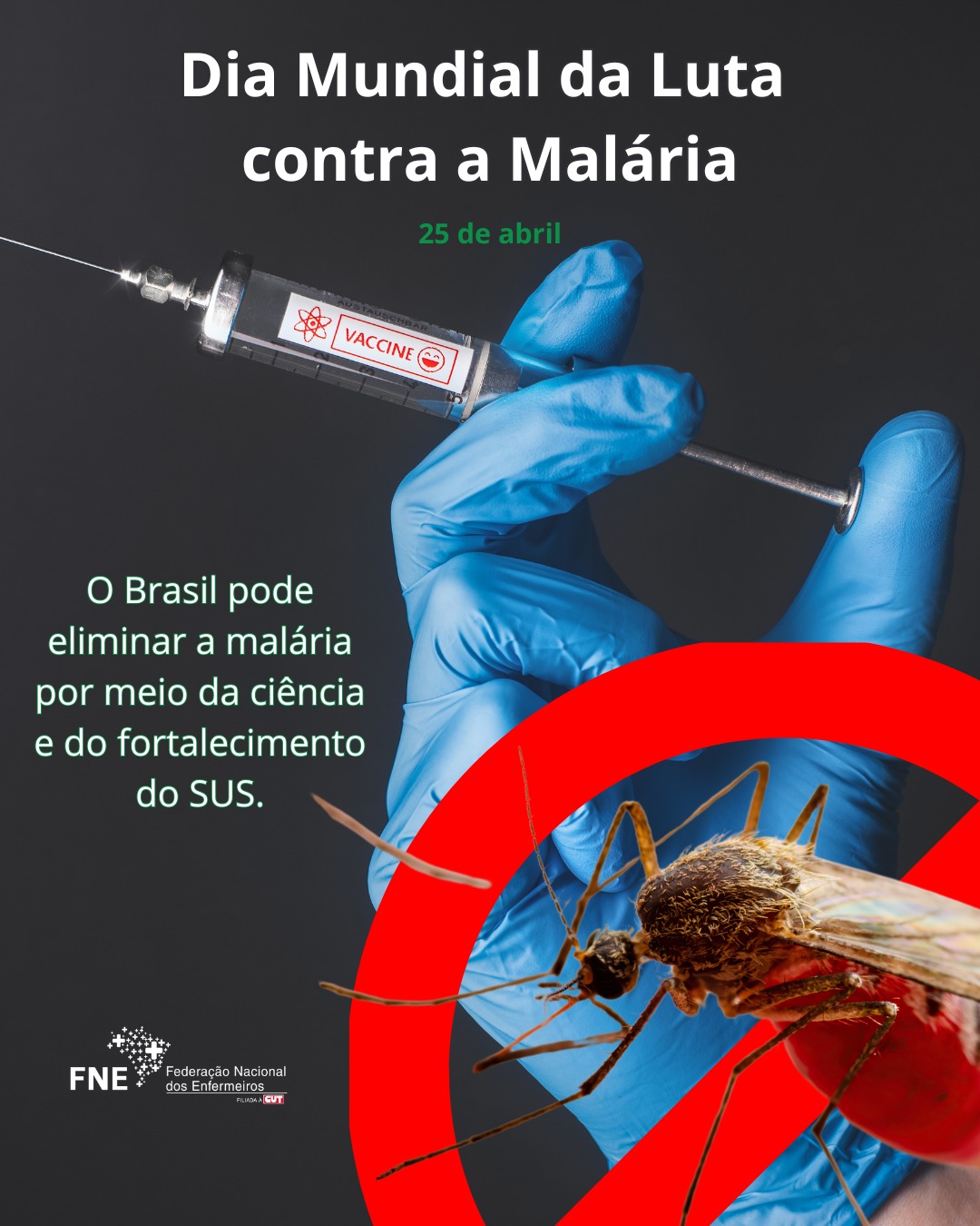 25/4 - Dia Mundial da Luta contra a Malária