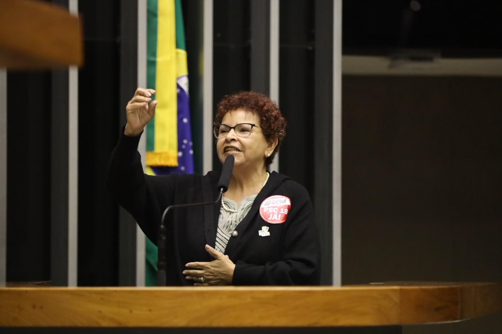 Presidenta da FNE convoca grande ato durante sessão solene na Câmara dos Deputados