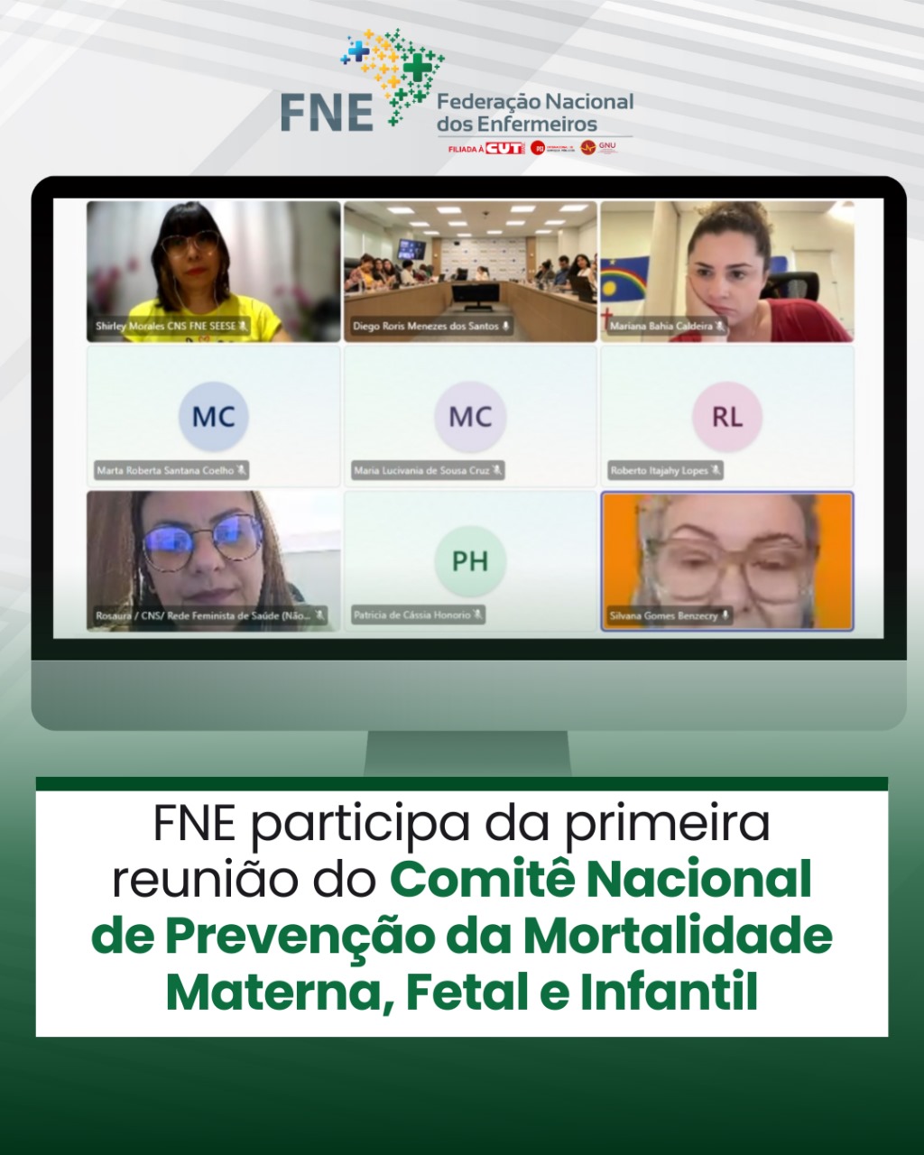 FNE participa da primeira reunião do Comitê Nacional de Prevenção da Mortalidade Materna, Fetal e Infantil