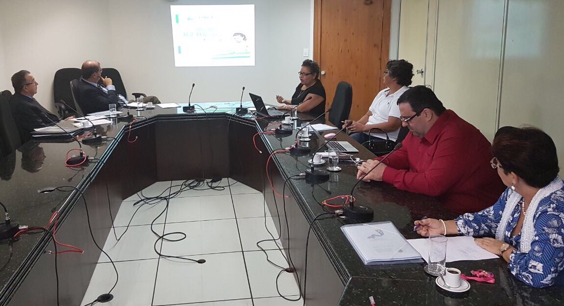 FNE segue participando de reuniões sobre as Diretrizes Curriculares