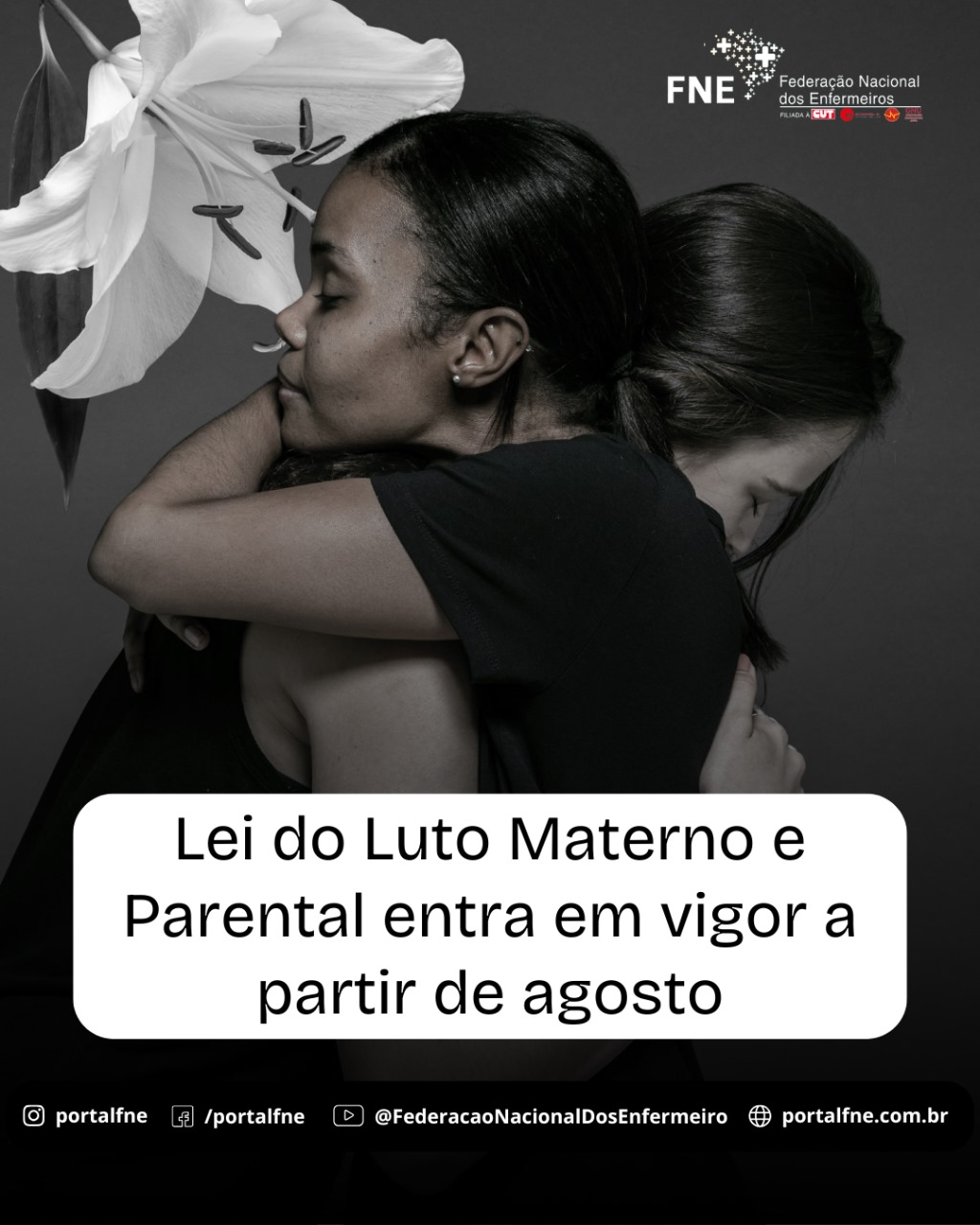 Lei do Luto Materno e Parental é considerada um avanço, mas “é preciso dimensionar e preparar os profissionais para o atendimento”, destaca FNE